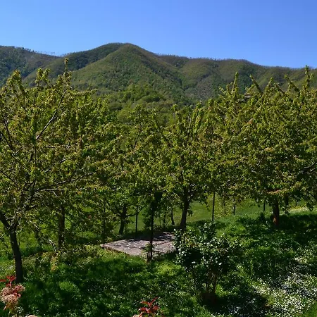 Gli Aceri With Swimming Pool Casa di campagna