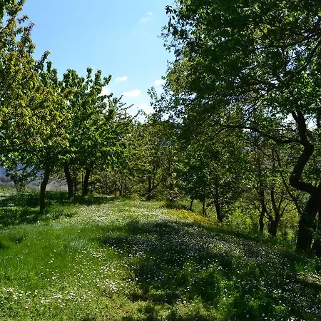 Gli Aceri With Swimming Pool * Cantiano